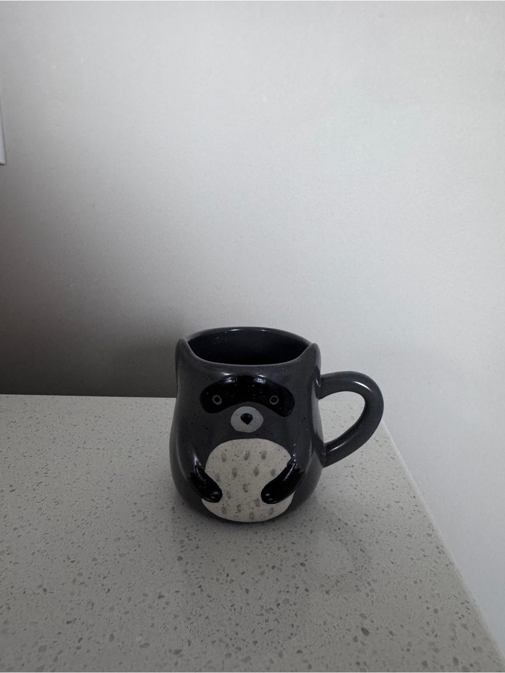 Indigo Black & White Raccoon Mug